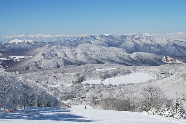 【新宿朝発】ぶっとび!日帰りスキー&スノボ|白樺高原国際スキー場(リフト券付)1